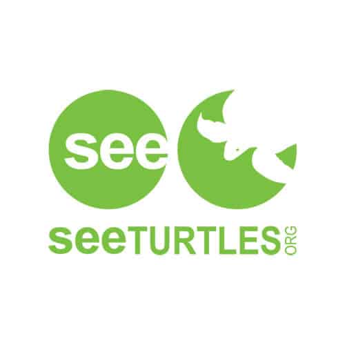SeeTurtles